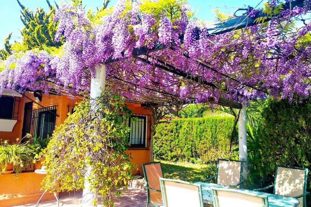 Villa Torrenueva มาลากา ภายนอก รูปภาพ